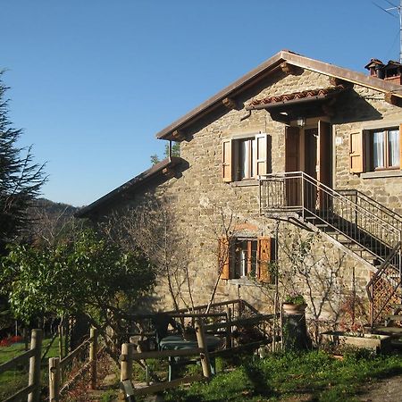 Apartament Agriturismo Casa Pallino Pratovecchio Zewnętrze zdjęcie