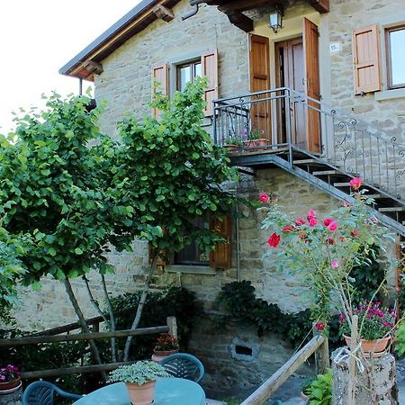 Apartament Agriturismo Casa Pallino Pratovecchio Zewnętrze zdjęcie