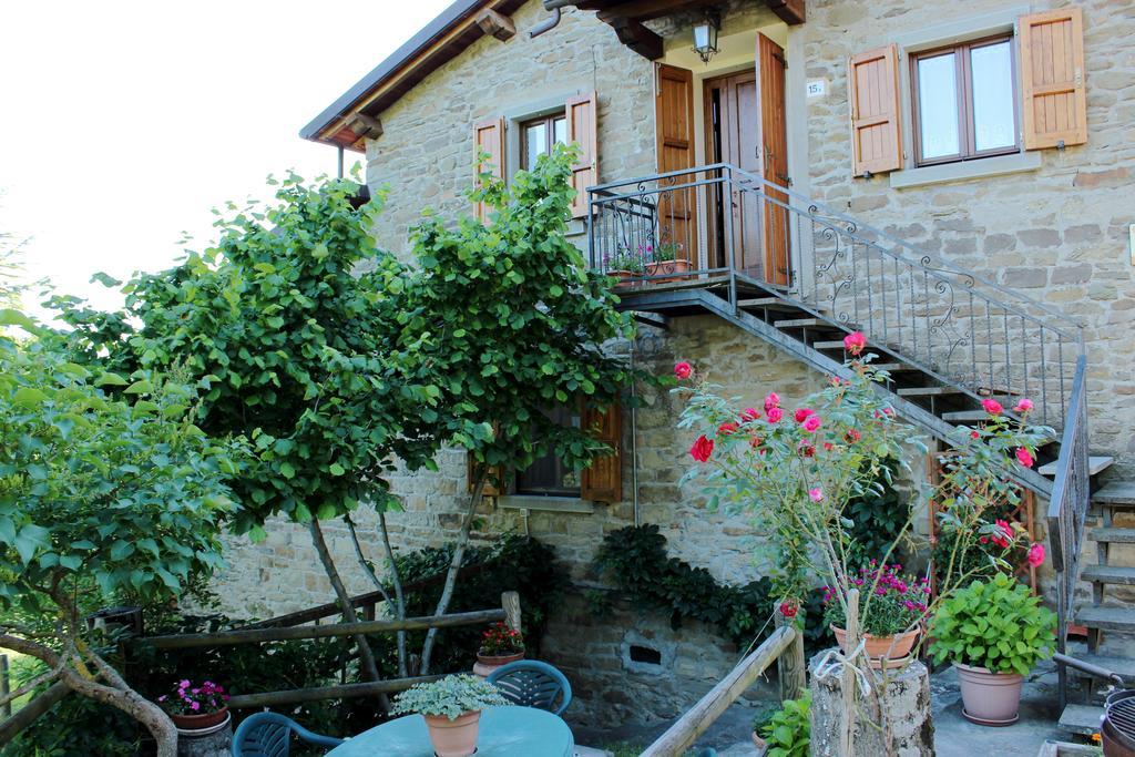 Apartament Agriturismo Casa Pallino Pratovecchio Zewnętrze zdjęcie